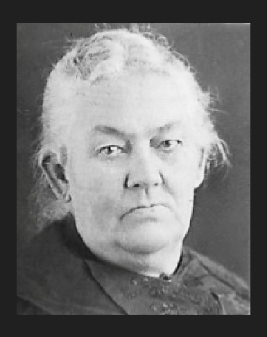 Sarah Sariah Johnston (1850 - 1916) Profile